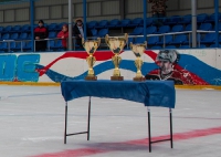 Чемпионат по хоккею 2015_72