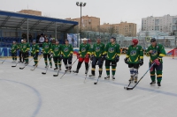 Чемпионат по хоккею 2015_8
